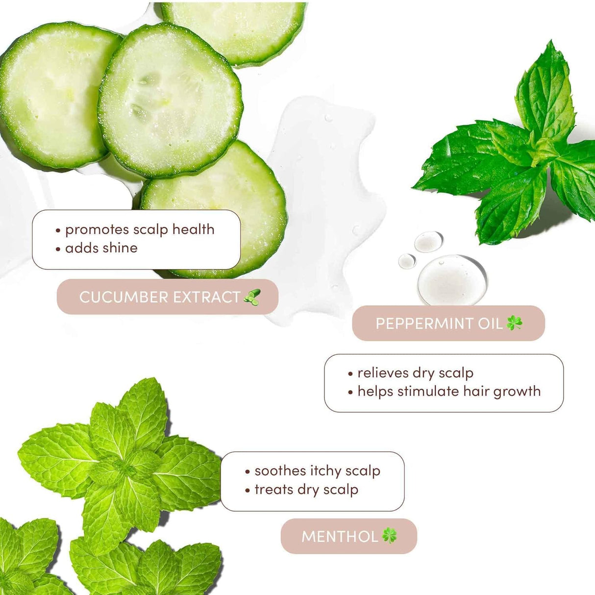 MIZANI Shampoo Scalp Curly & Textured Hair 16.90 oz