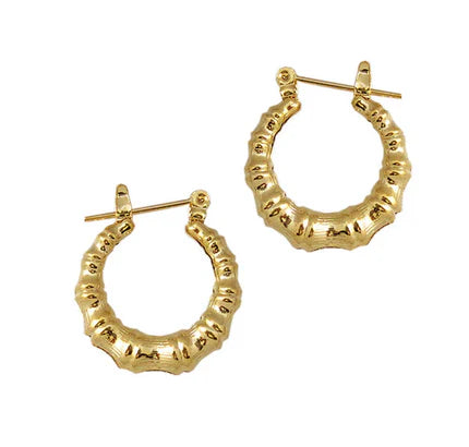 Joy Jewelry Earrings Delicate by Design