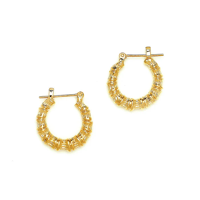 Joy Jewelry Earrings Delicate by Design