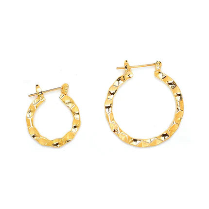 Joy Jewelry Earrings Delicate by Design