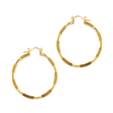 Joy Jewelry Earrings Delicate by Design