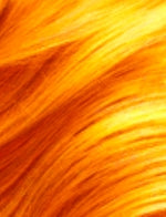 Sensual Human Hair Hi-Lite Hair Piece