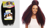 Janet Collection 2X Afro Twist Braid Hair