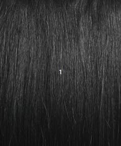 Janet Collection New Deep Bulk 100% Human Hair Extension