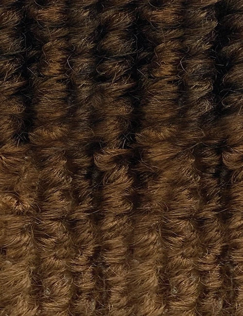 3t1b_hair color