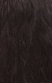 Boss Bundle Virgin Hair Closure Wet & wavy Jerry Curl - 5"