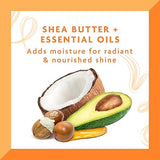 Cantu Shea Butter for Natural Hair with Define & Shine Custard 12Oz