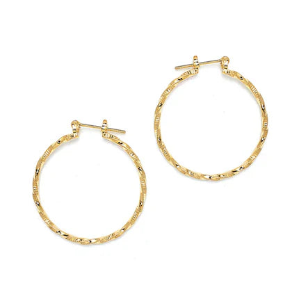 Joy Jewelry Earrings Delicate by Design