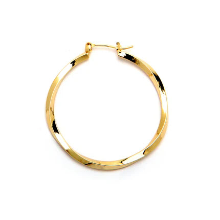 Joy Jewelry Earrings Delicate by Design