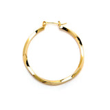 Joy Jewelry Earrings Delicate by Design