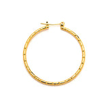 Joy Jewelry Earrings Delicate by Design