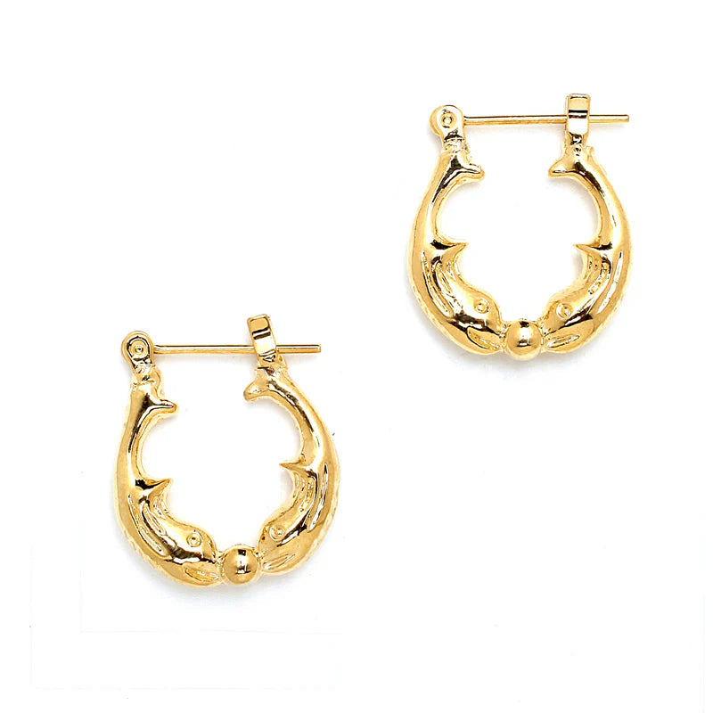 Joy Jewelry Earrings Delicate by Design