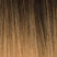 Color-T1B-27