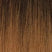 Color-T1B-30