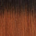 Color-T1B-350
