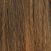 Color-T27B