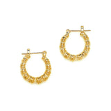 Joy Jewelry Earrings Delicate by Design