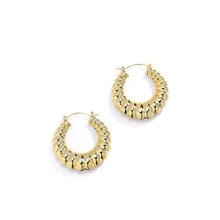 Joy Jewelry Earrings Delicate by Design