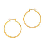 Joy Jewelry Earrings Delicate by Design
