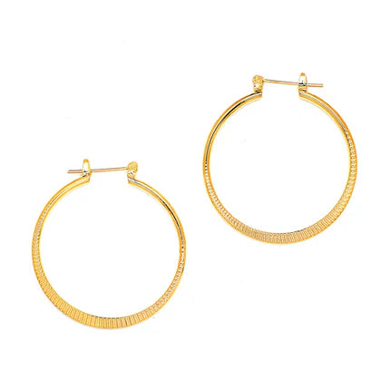 Joy Jewelry Earrings Delicate by Design