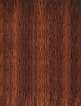 Outre Kaitlin Synthetic Lace Front Wig 14"