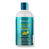 Mielle Kalahari Melon & Aloe Vera Deep Hydration Shampoo