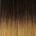 T1B/27 color
