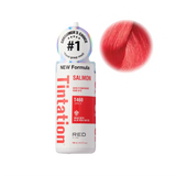 Kiss Tintation Color