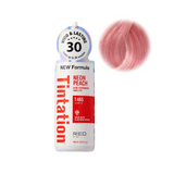 Kiss Tintation Color