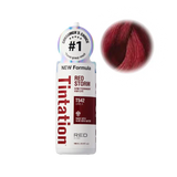 Kiss Tintation Color