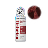 Kiss Tintation Color