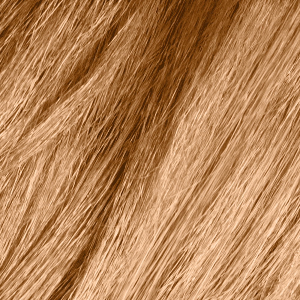 Dark & Lovely Honey Blond Dark And Lovely Hair Color Fade Resist
